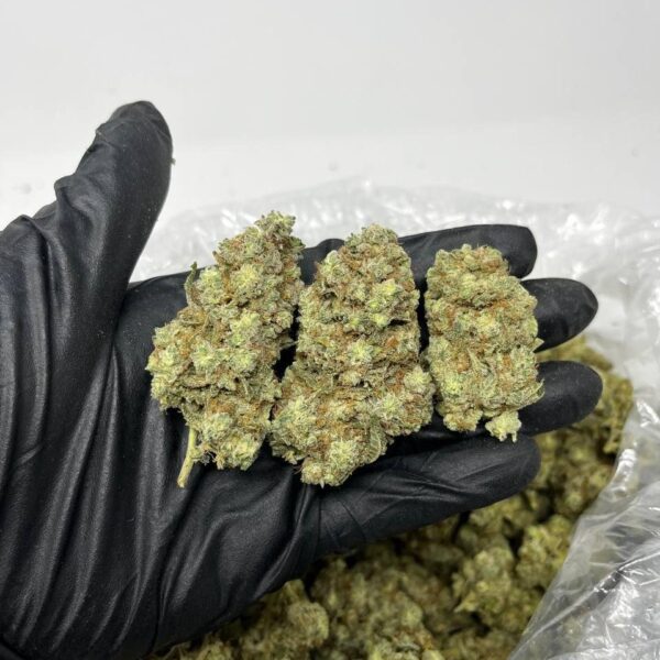 buy gorilla glue 4 strain online