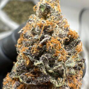 is gelato the most powerful strain uk?